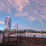 笨笨熊64272476头像