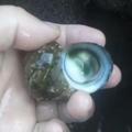 独居的自由生活头像