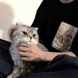 南辞5660头像