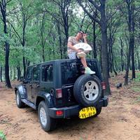 不许人间见白头L头像