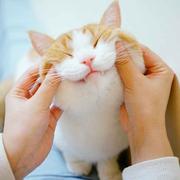 coder_0715的个人资料头像