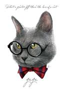 安庆的个人资料头像