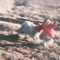 率真光束au头像