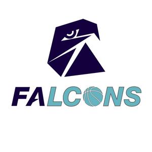 FALCONS猎鹰头像