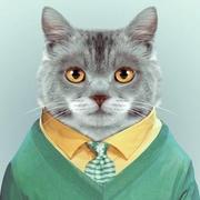 玖伊佴的个人资料头像