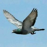 ＲuìxＵＡИ头像