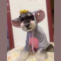 哈利波特Zzzzz头像