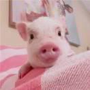 知趣酱107202的个人资料头像