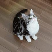 Jimee_的个人资料头像