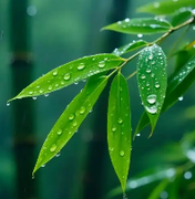 行尽江南的个人资料头像