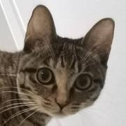 ZrT的个人资料头像