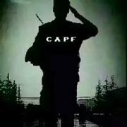 孤傲的天狼的个人资料头像