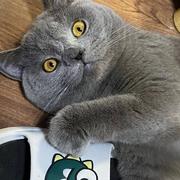 艾克斯349的个人资料头像