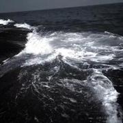 用户1287339158325的个人资料头像