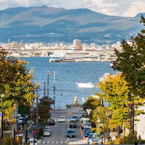 长岛冰茶1头像