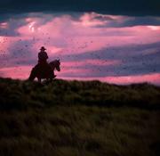 前端小闲的个人资料头像