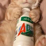 Kylin_Yan的个人资料头像