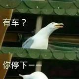 木心103420666头像