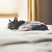 Pegboggs的个人资料头像