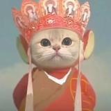 本喵从东土大唐而来头像