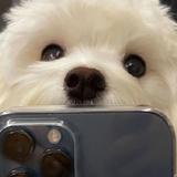晚风F头像