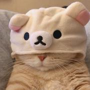 红海a的个人资料头像