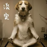 下一个路口等你吗头像