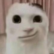 身无分文年轻又愚蠢的个人资料头像