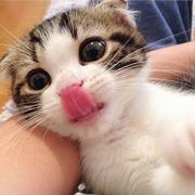 happyV的个人资料头像