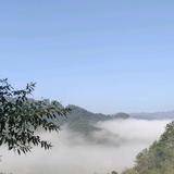 凉白开头像