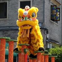 柚子哥哥547头像