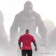 Truma的个人资料头像