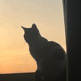 缤纷云朵Sj头像