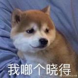 ଲ头像