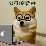 程超级无敌宇宙第一棒头像