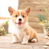 好羡慕35848头像