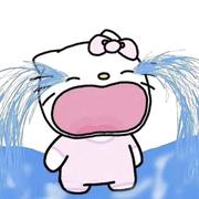 一天吃一顿白米饭的个人资料头像