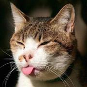 木易QAQ的个人资料头像