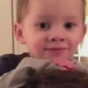 世界级划水大师的个人资料头像