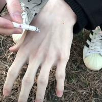 房东的猫972头像