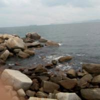 _苚芯攺濄撌头像