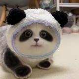 碎银几个88头像