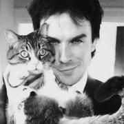 Alex253的个人资料头像