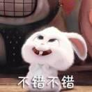 兔斯基本尊的个人资料头像