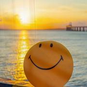 前端小小白y的个人资料头像