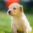 德华26的个人资料头像