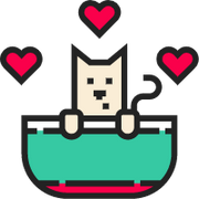 MeowGod猫神教主的个人资料头像