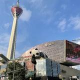 钱途似锦吖头像