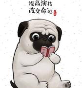 kkfly的个人资料头像