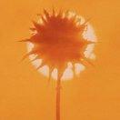 at青春短促的个人资料头像